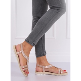 Sandálias alpercatas champanhe CO-78 Champagne rosa 2