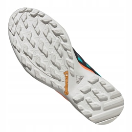 Sapatos Adidas Terrex Swift R2 Gtx M FV6843 azul marinho verde 2