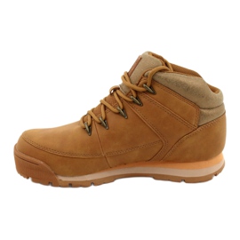 Esportes de camelo trekking Big Star GG274497 dourado amarelo 1