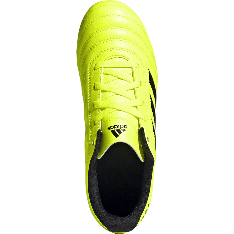 Adidas Copa 19.4 Fg Junior chuteiras amarelas F35461 amarelo amarelo 1