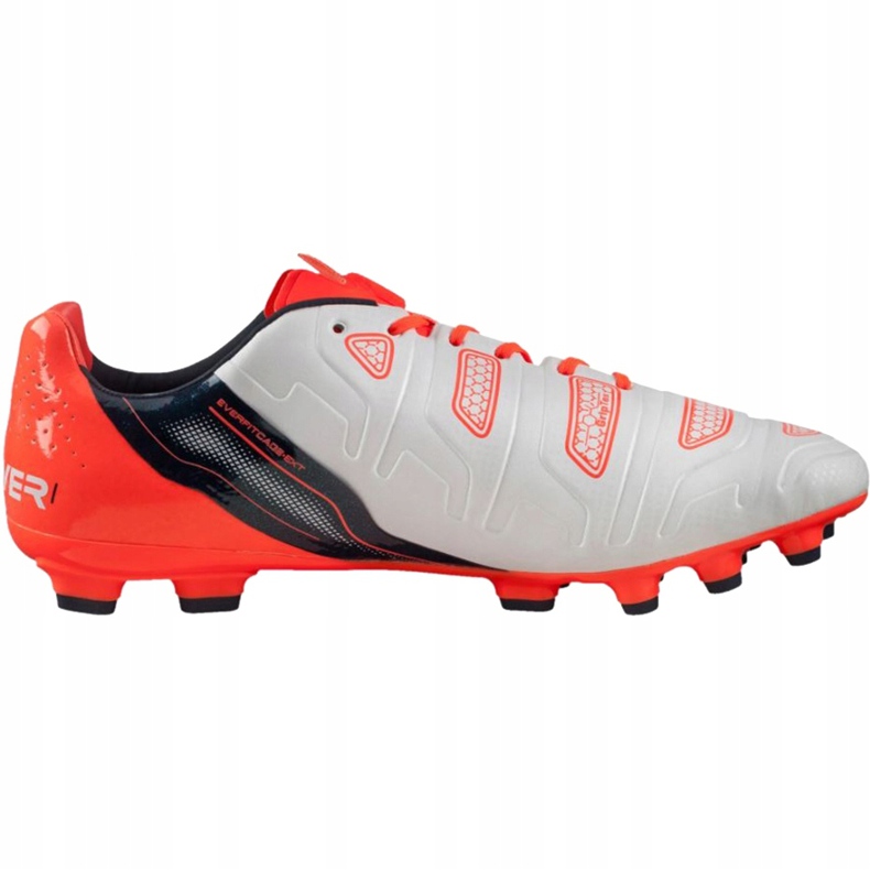 Puma Evo Power 1.2 Ag 103213 05 chuteiras cinza 1