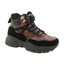 Vices Vícios JB036-54-marrom 1