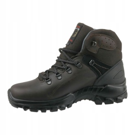 Sapatos Grisport Marrone Kaiteki M 13326D1G castanho 3