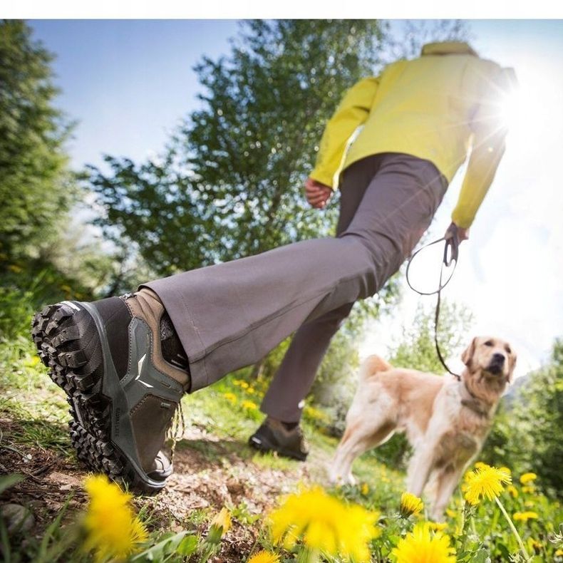 Sapatos Salewa Wander Hiker Gtx W 63461 2460 cinza 1