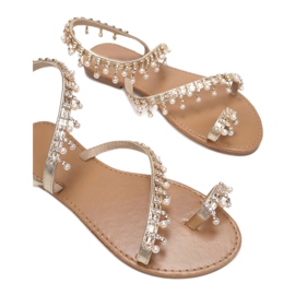 Vices Vícios 8839-F18-60-gold dourado 1