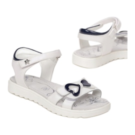 Vices Vícios B-3156-101-branco / azul 1