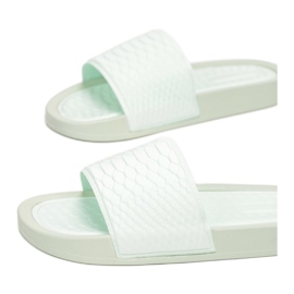 Vices Vícios CD209-61-green verde 1