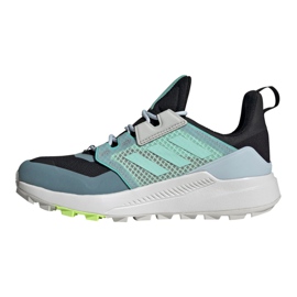 Sapatos Adidas Terrex Trailmaker Gtx W FX4694 azul 1
