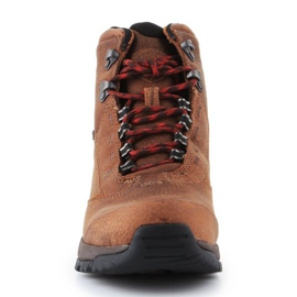 Sapatos Ariat Berwick Gtx W 10016299 castanho 2