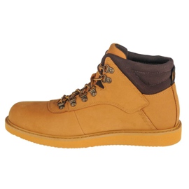 Timberland Sapatos Newmarket A2QJF marrom 1