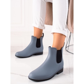 TRENDI Galochas cinzentas clássicas cinza 1