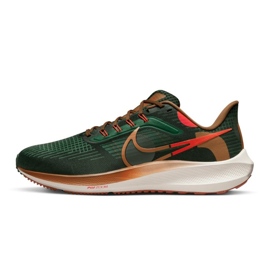Tênis Nike Air Zoom Pegasus 39 AIR Hola Lou M DO9500-300 verde 1