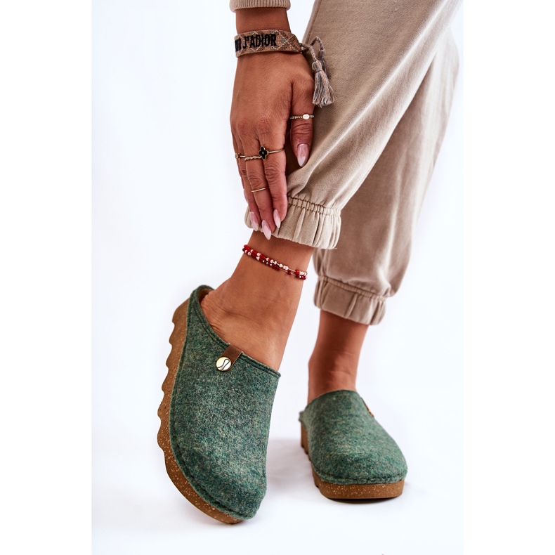 Chinelos Domésticos Profilático Inblu DK-08-007 Verde 1