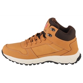 Sapatos Campus Norden CM0101321330 marrom 1
