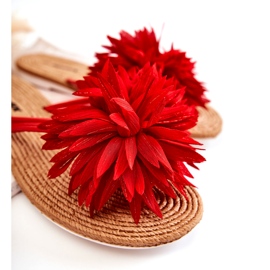 WJ1 Chinelos de mulher com decoração em tecido Eviana vermelho 1