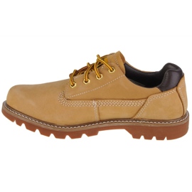 Sapatos Caterpillar Colorado Low 2.0 M P111124 amarelo 1