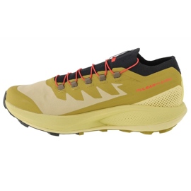 Sapatos Salomon Pulsar Trail-Pro M 415936 verde 1